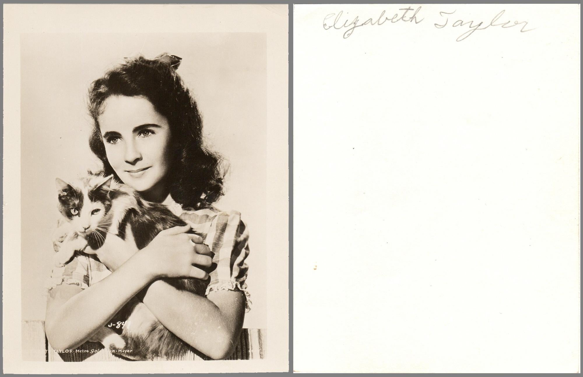 Américain Nibbles and Me, écrit et illustré par ELIZABETH TAYLOR en vente