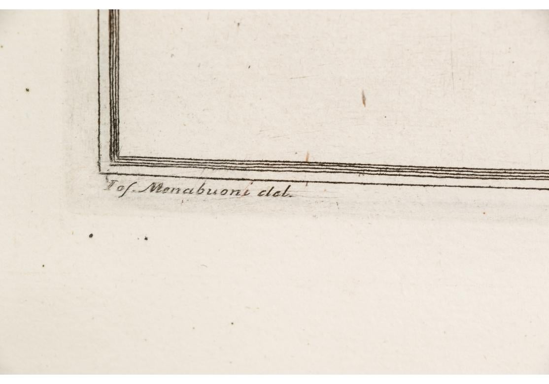 Niccolo Gualtieri, Florentiner Konchologe/Künstler, zwei gerahmte Stiche von 1742 (Renaissance) im Angebot