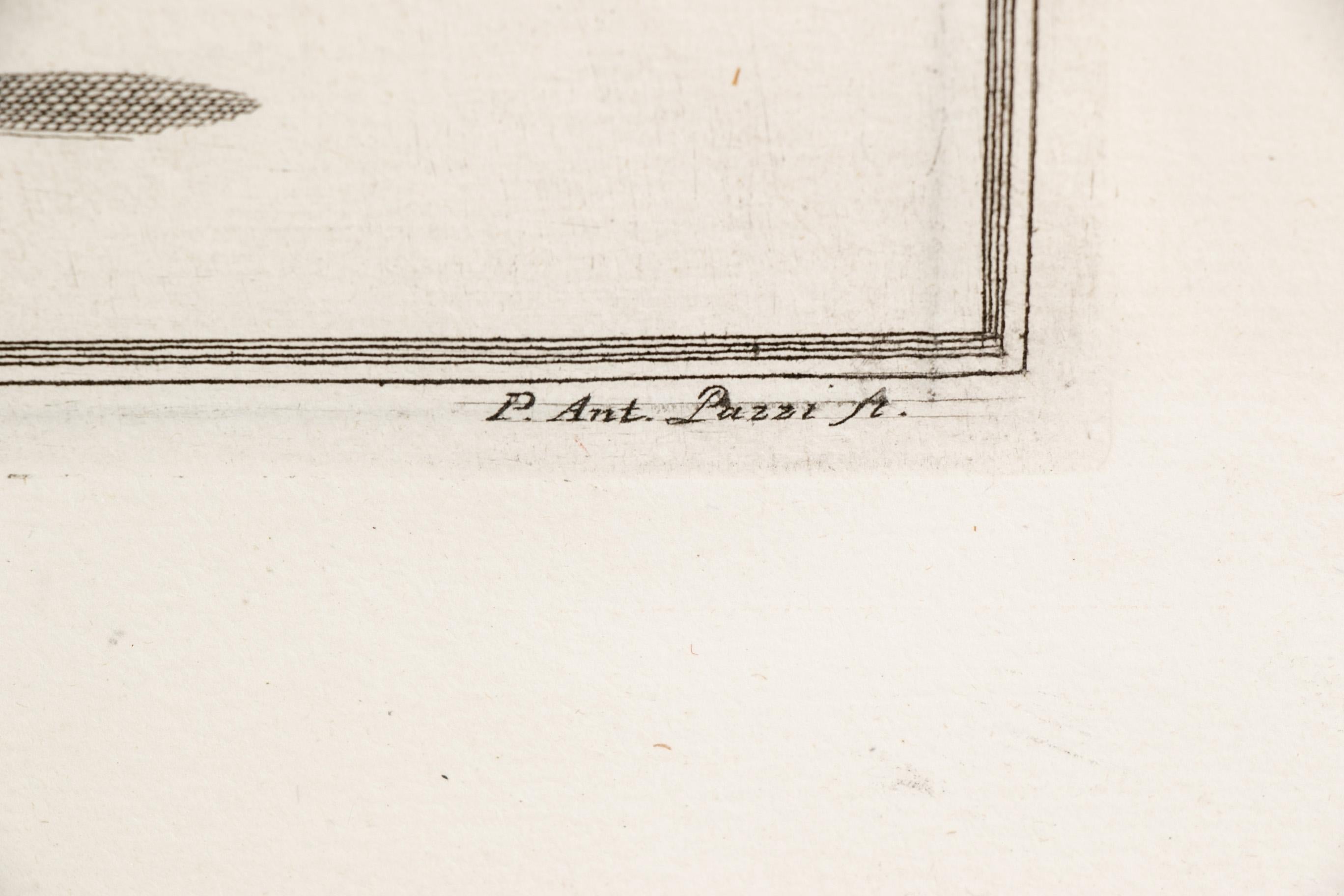 Niccolo Gualtieri, Florentiner Konchologe/Künstler, zwei gerahmte Stiche von 1742 (Italienisch)