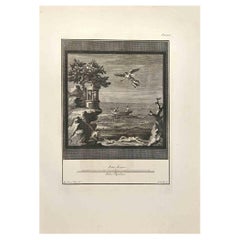 Ancient Roman Fresco  - Etching by Niccolò Vanni - 18th Century