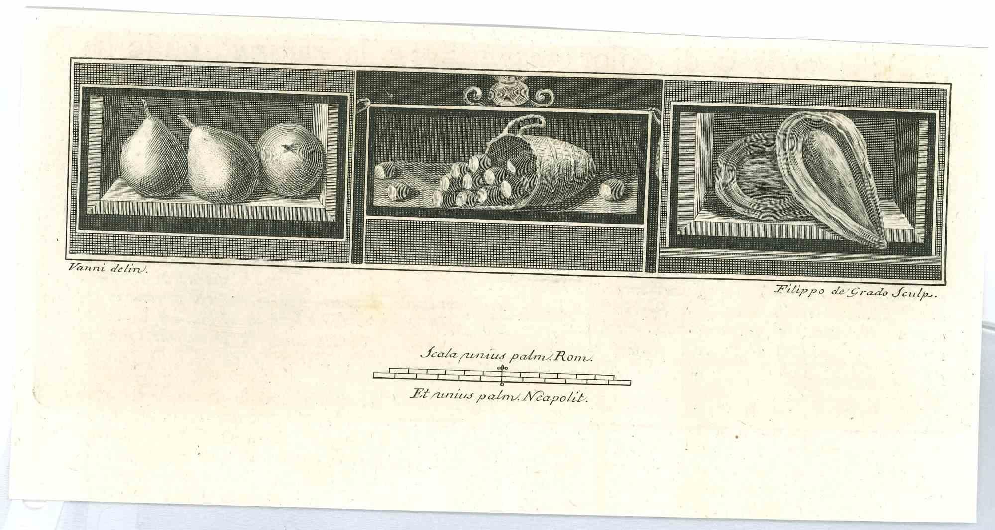 Ancient Roman Statues, from the series "Antiquities of Herculaneum", is an original etching on paper realized from a design by Niccolò Vanni in the 18th Century.

Signed on the plate.

Good conditions.

The etching belongs to the print suite