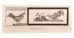 Dekoration mit Tieren - Radierung von Niccolò Vanni  – 18. Jahrhundert