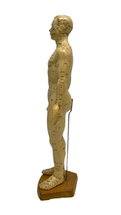 Nice Acupuncture Model Statue Sculpture on Wood Stand Vintage 1980s
