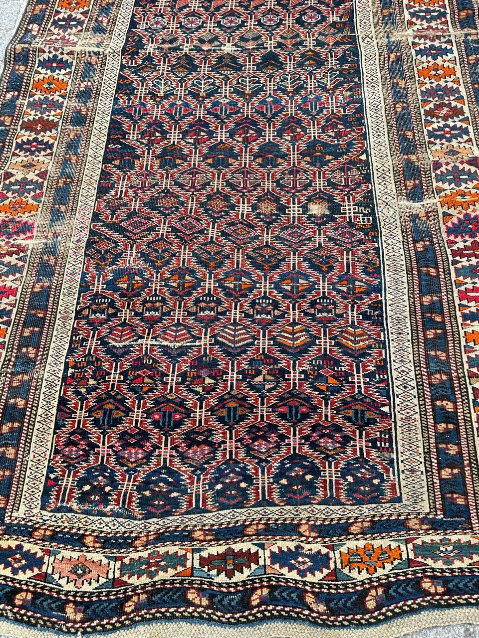 Beau tapis Shirwan caucasien ancien en vente 11