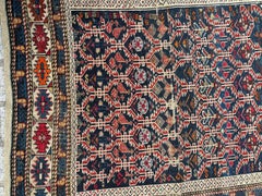 Nice antique Caucasian shirwan rug