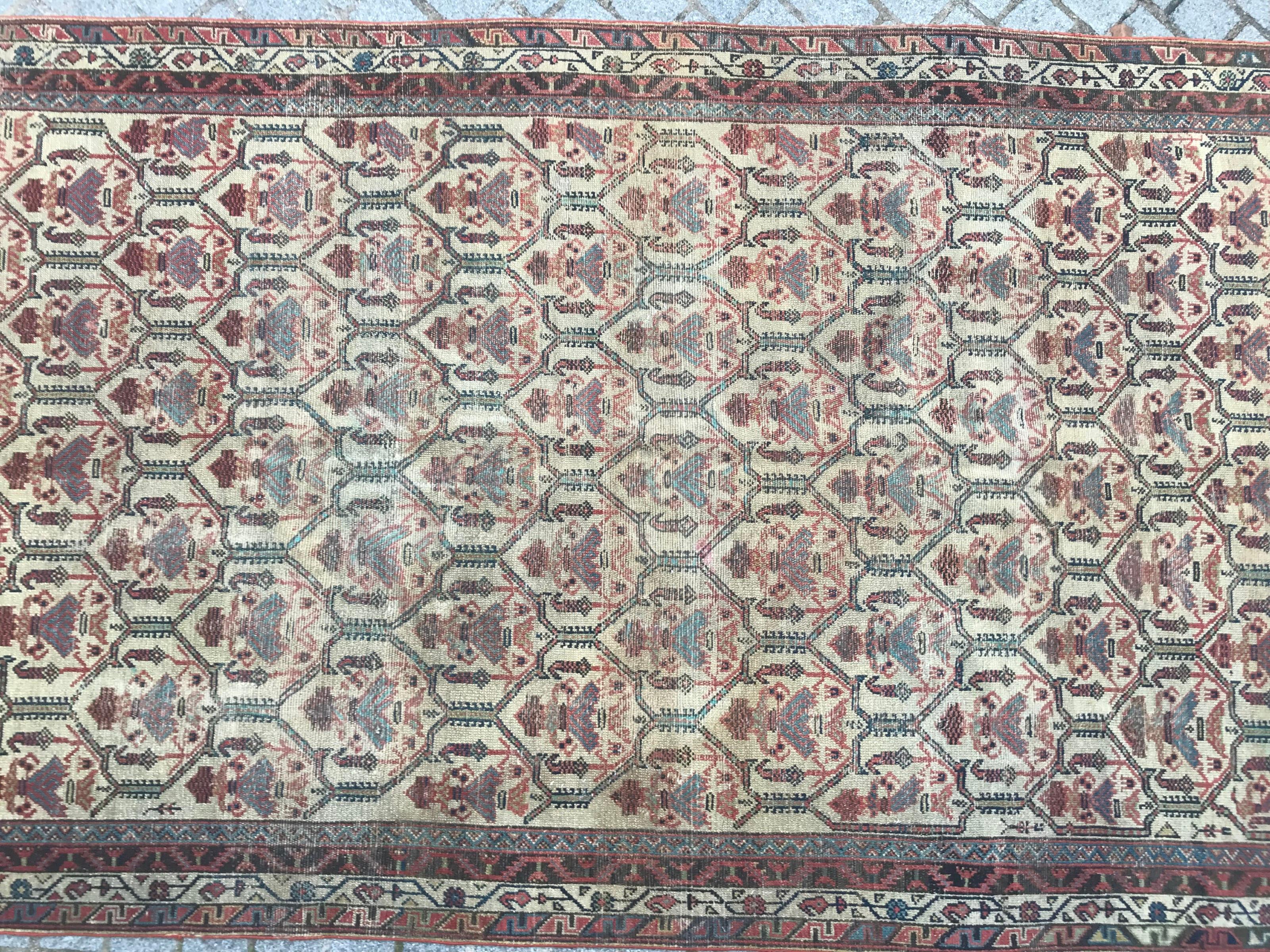 Beautiful antique Kurdistan rug with nice decorative design and white field color with blue, pink, red, dark brown and green, entirely hand knotted with wool velvet on cotton foundation.

✨✨✨
