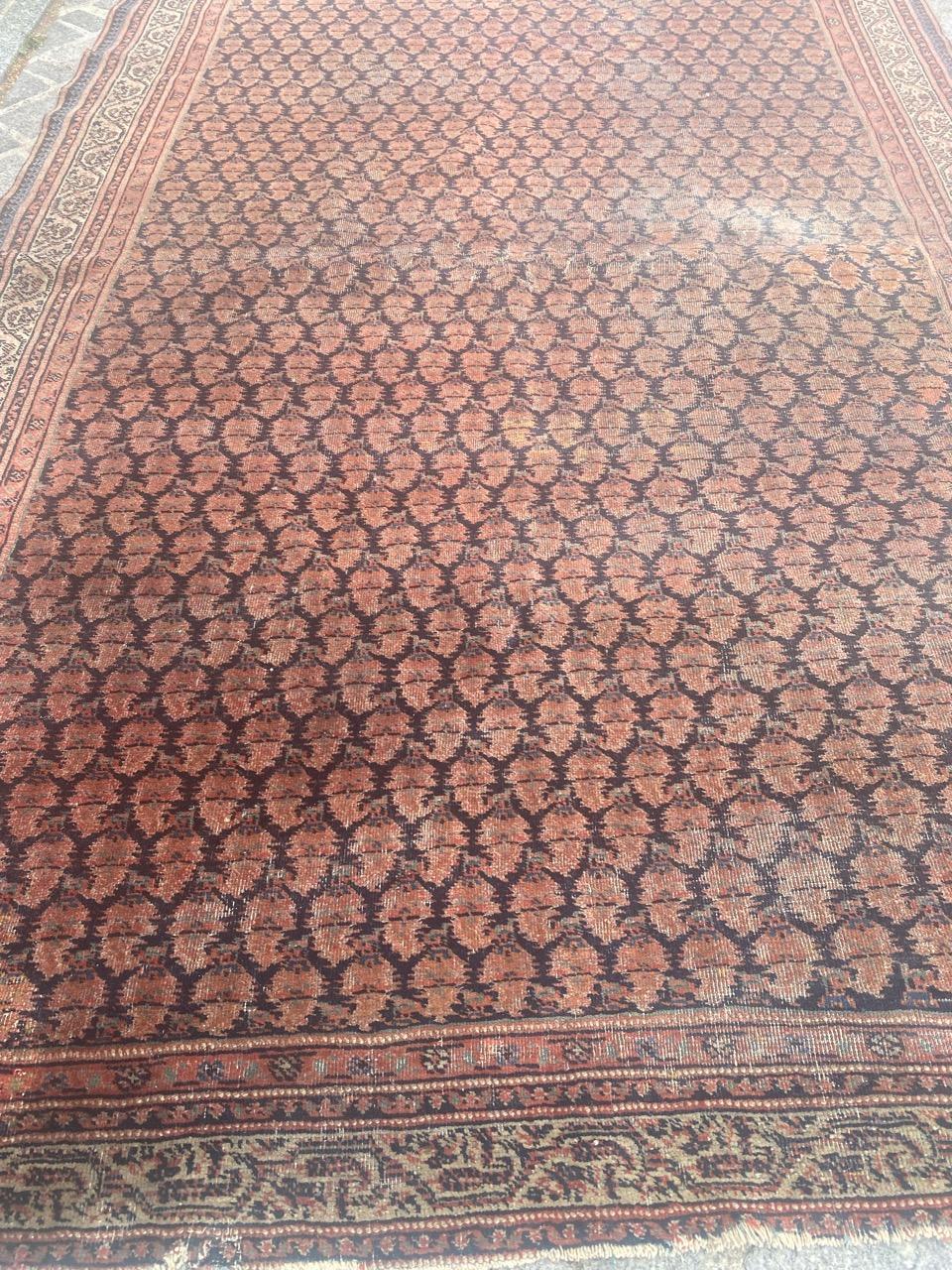 Bobyrug's Nice Antique Mir Saraband Rug en vente 4