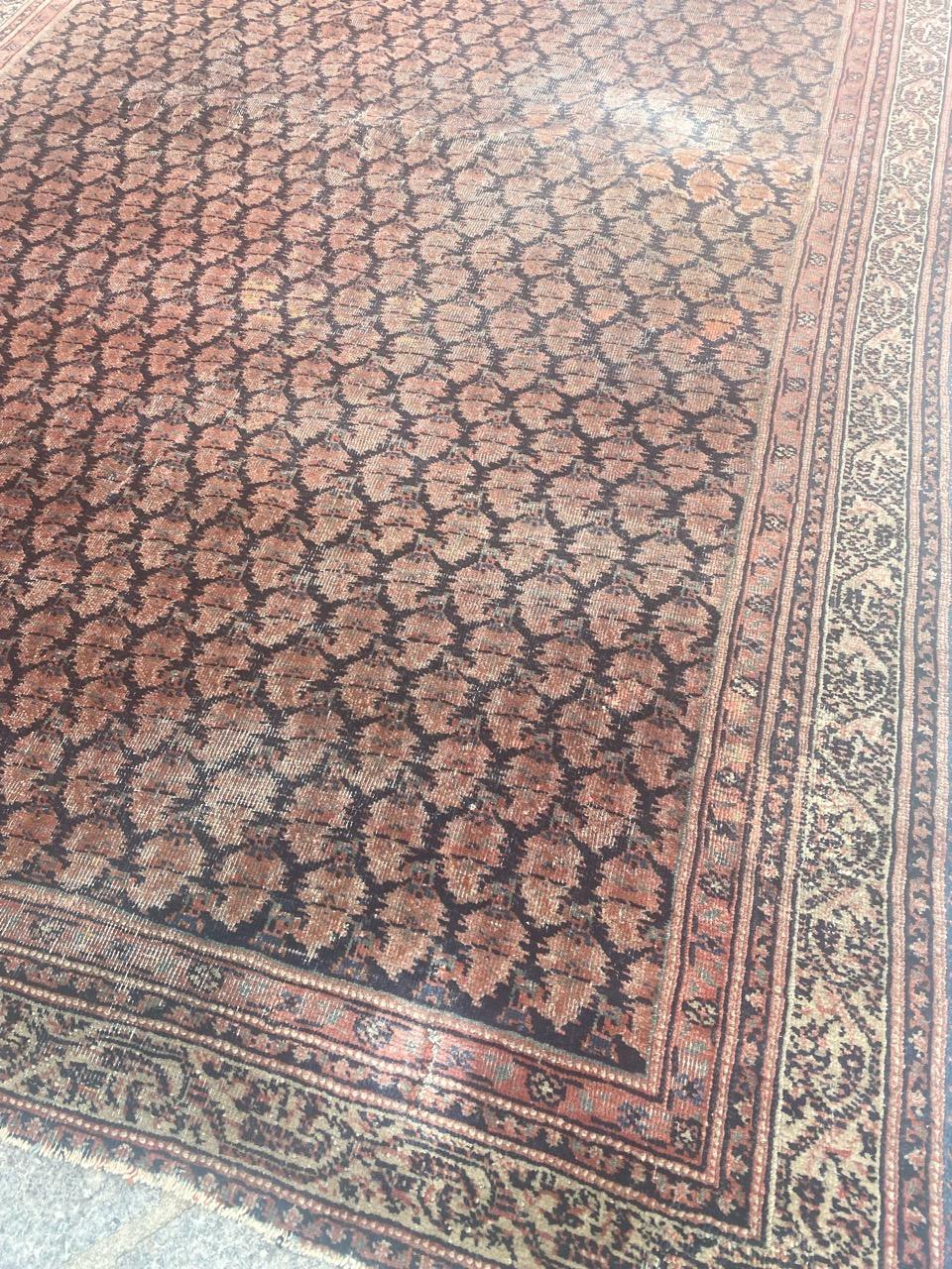 Bobyrug's Nice Antique Mir Saraband Rug en vente 5
