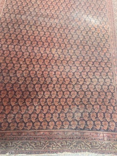 Bobyrug’s Nice Antique Mir Saraband Rug