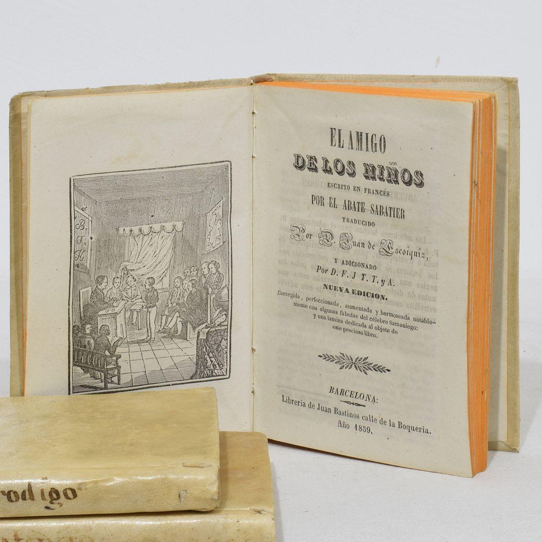 Nice Collection of 18th/ 19th Century Weathered Spanish/ Italian Vellum Books For Sale 8