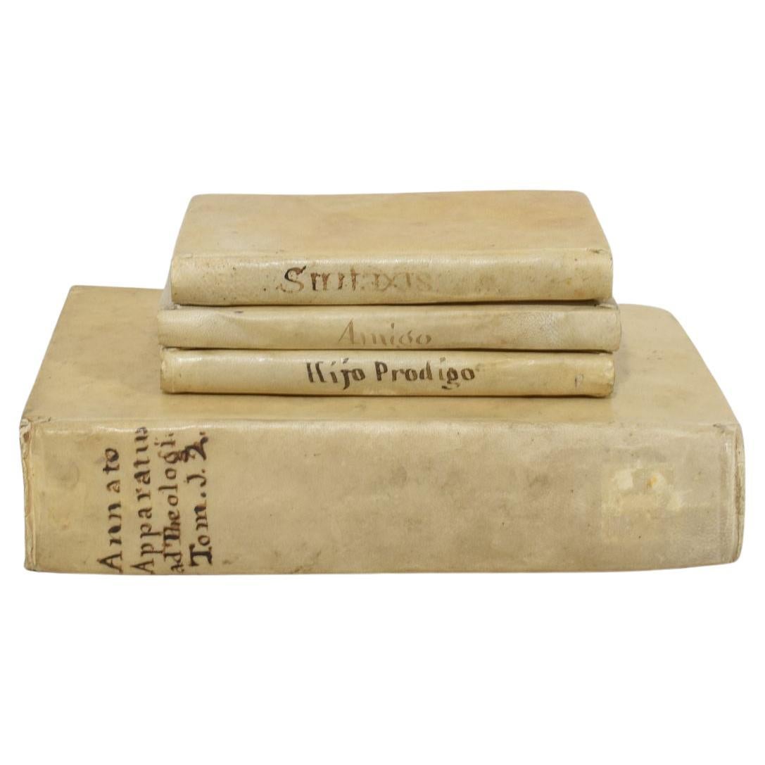 Nice Collection of 18th/ 19th Century Weathered Spanish/ Italian Vellum Books For Sale