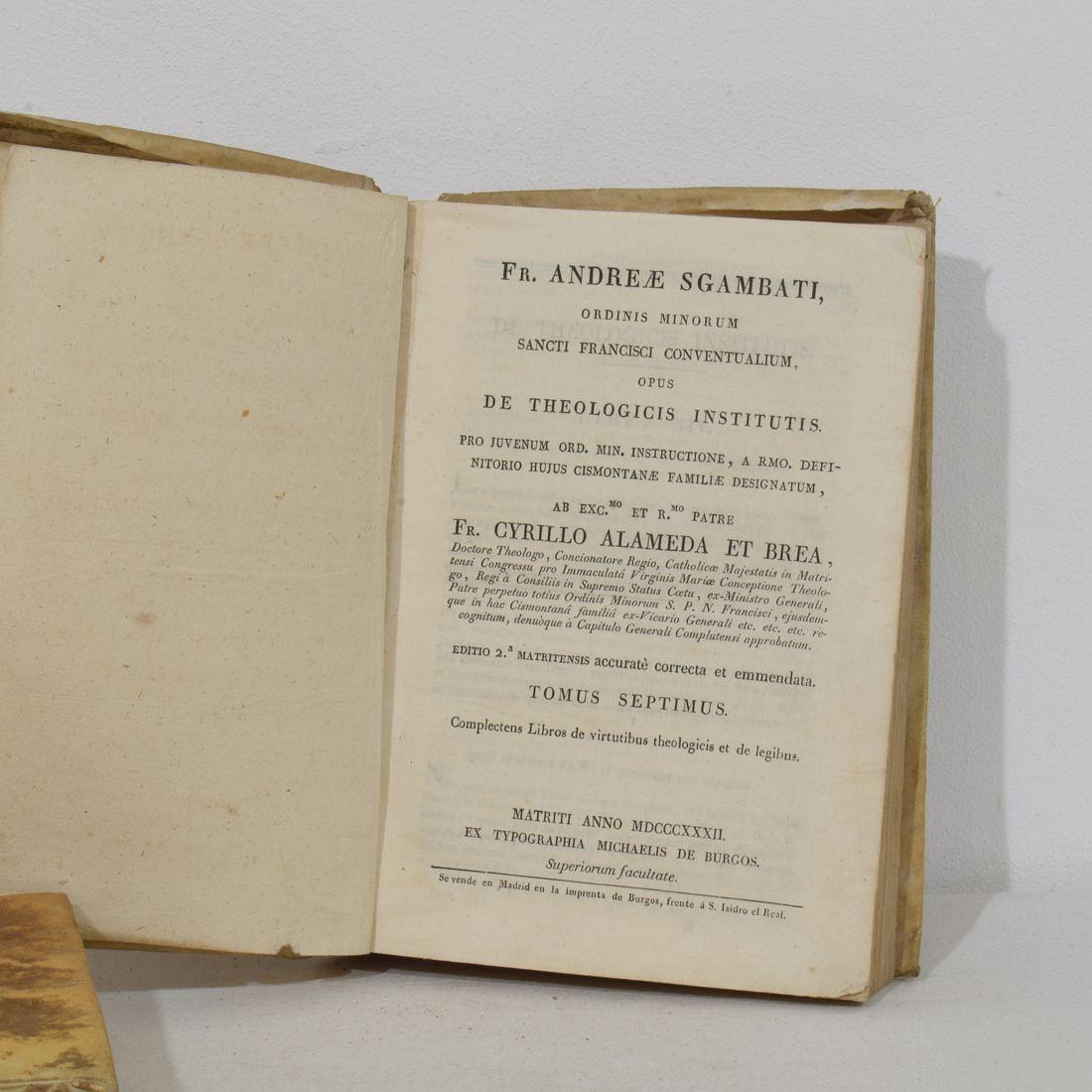 Nice Collection of 18th/ 19th Century Weathered Spanish Vellum Books For Sale 11