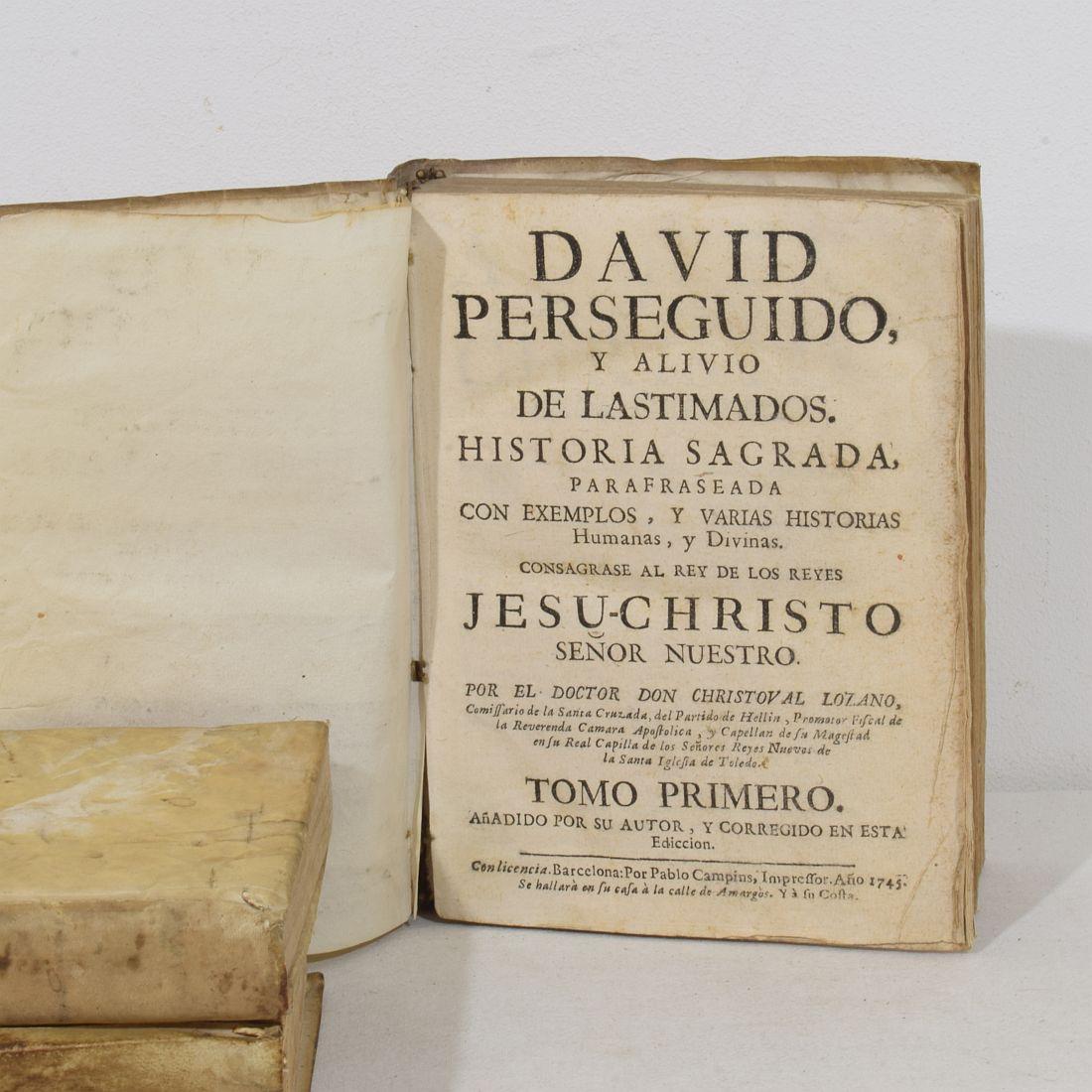 Nice Collection of 18th/ 19th Century Weathered Spanish Vellum Books For Sale 15