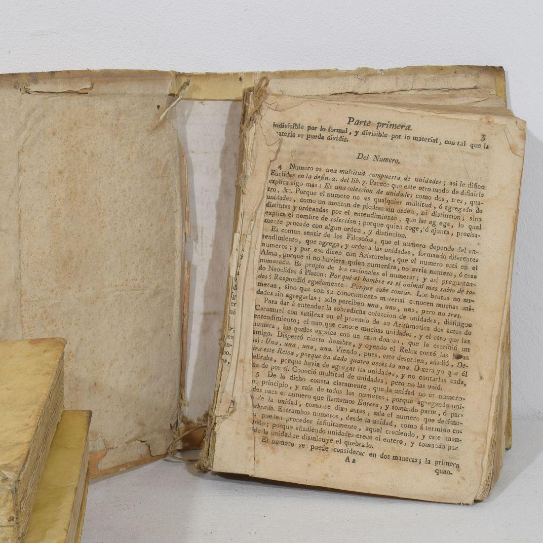 Bella collezione di libri in Vellum spagnolo invecchiato del XVIII/XIX secolo in vendita 1