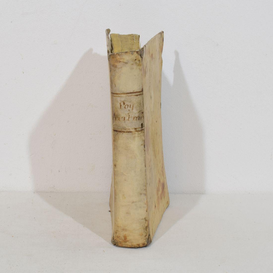 Nice Collection of 18th/ 19th Century Weathered Spanish Vellum Books For Sale 2