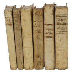 Bella collezione di libri in Vellum spagnolo invecchiato del XVIII/XIX secolo