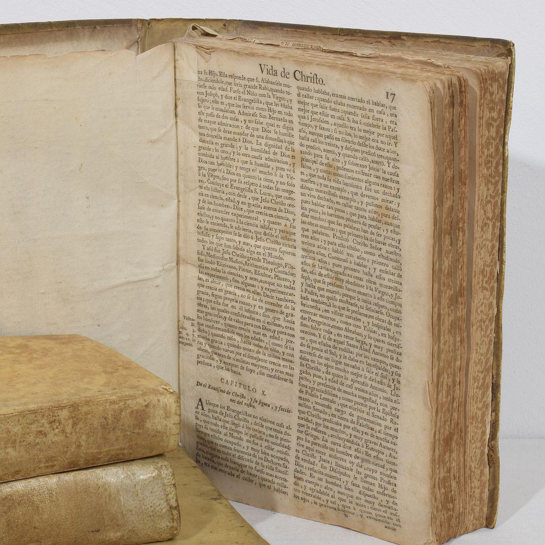 Bella collezione di libri in Vellum spagnolo invecchiato del 18° secolo in vendita 11