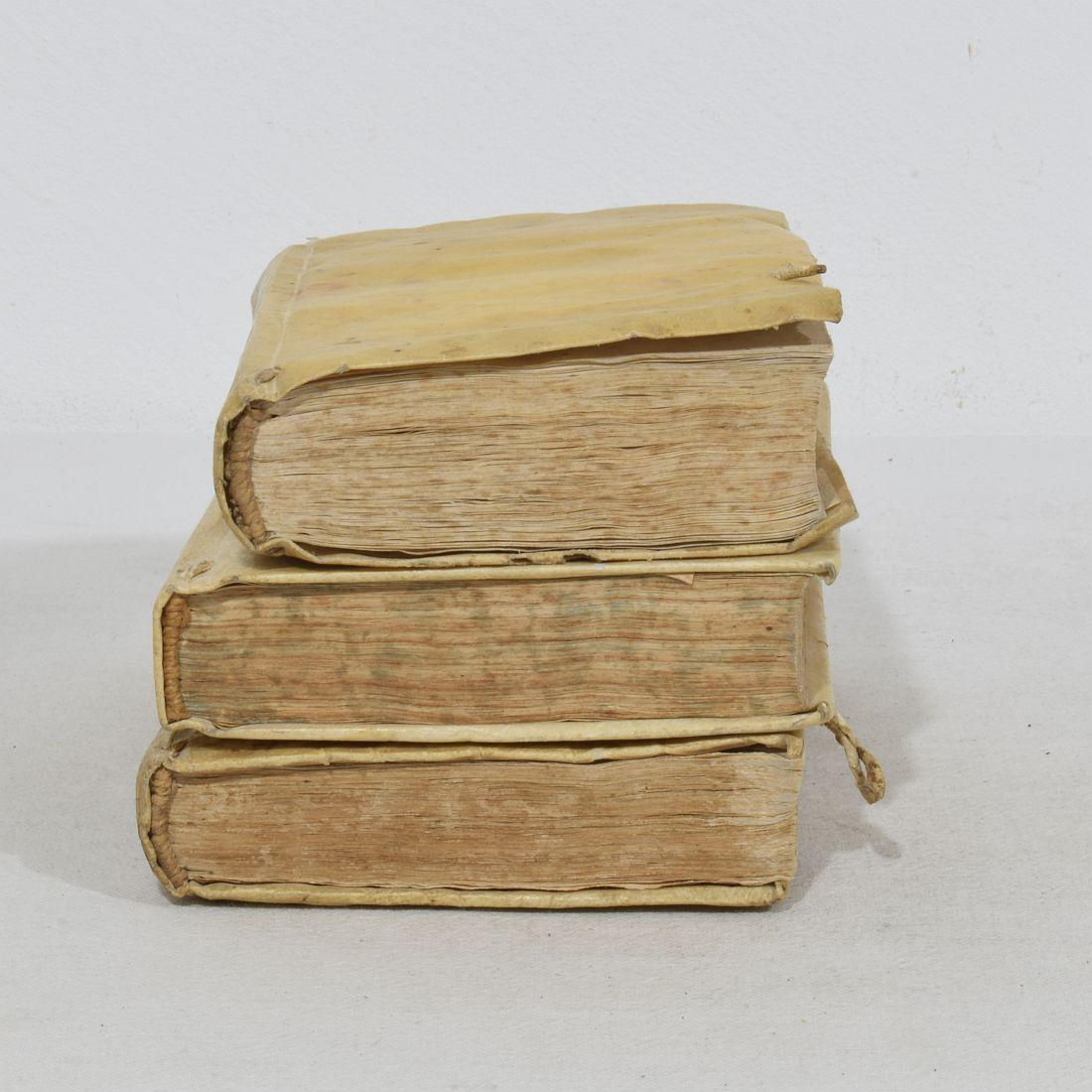 Nice Collection of 18th Century Weathered Spanish Vellum Books For Sale 13