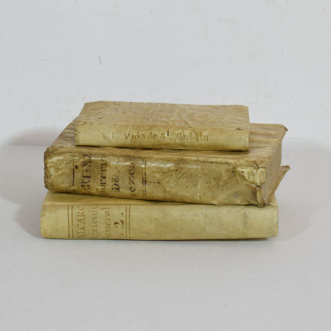 Nice collection of three extremely weathered vellum books, Spain 18th century. Weathered, losses and old repairs. 
Measures: H:16-20cm W:2-4cm D:11-15,5cm 
Measurements here below of the largest book.