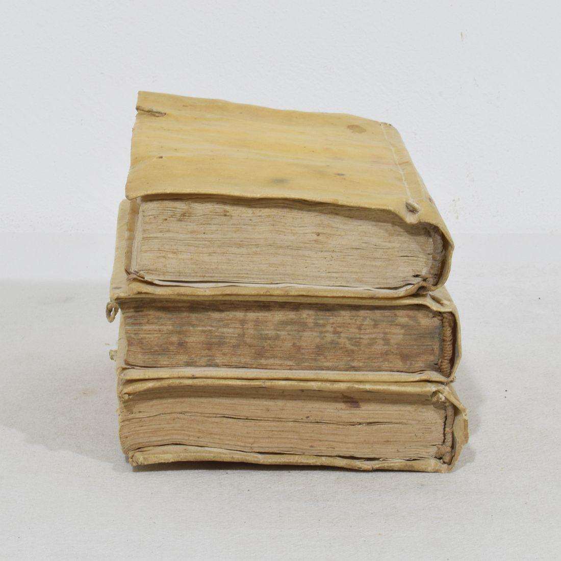 Nice Collection of 18th Century Weathered Spanish Vellum Books For Sale 15