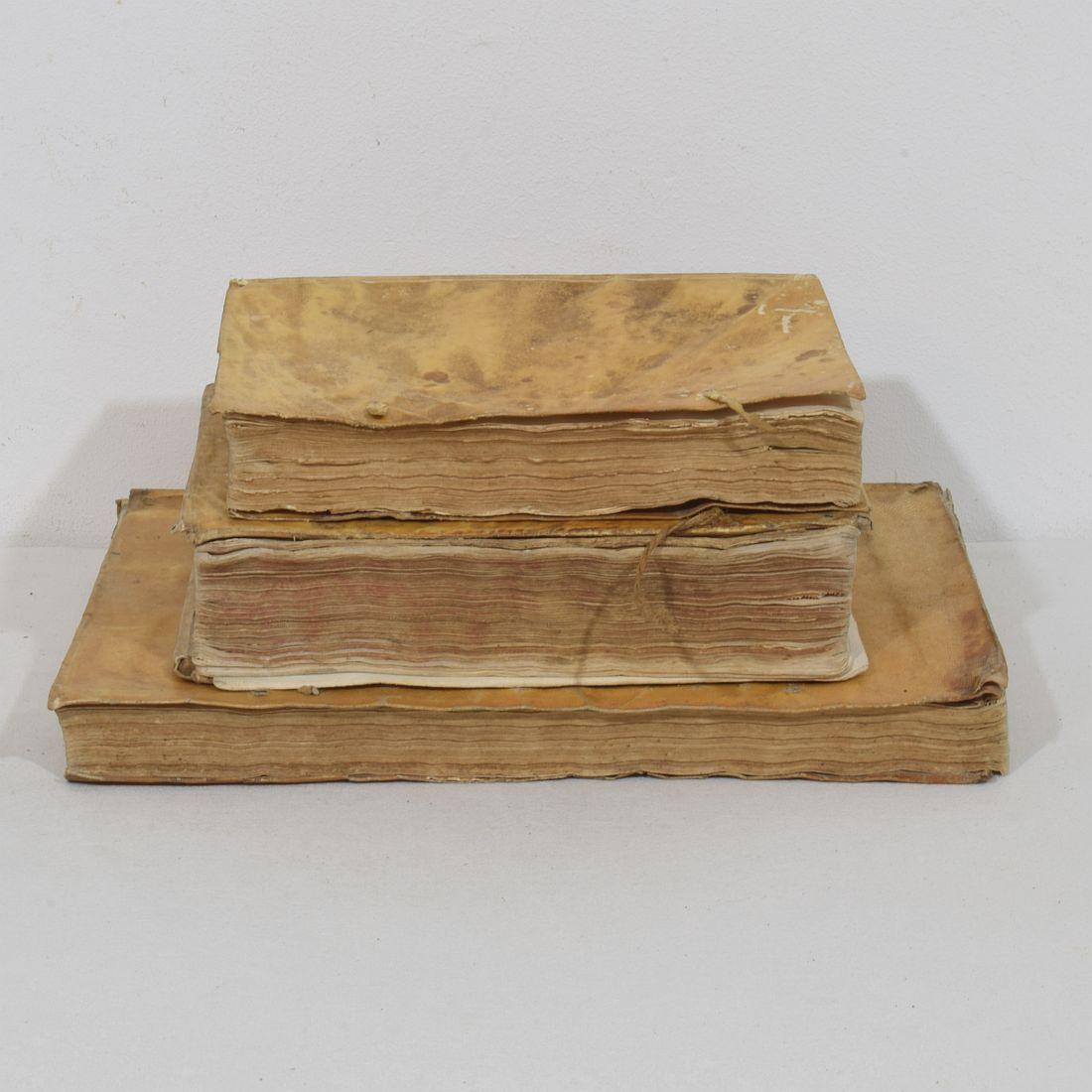 Spagnolo Bella collezione di libri in Vellum spagnolo invecchiato del 18° secolo in vendita