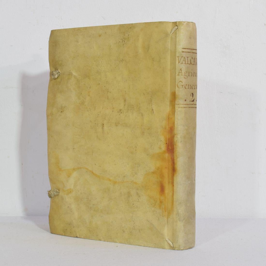 18th Century and Earlier Nice Collection of 18th Century Weathered Spanish Vellum Books