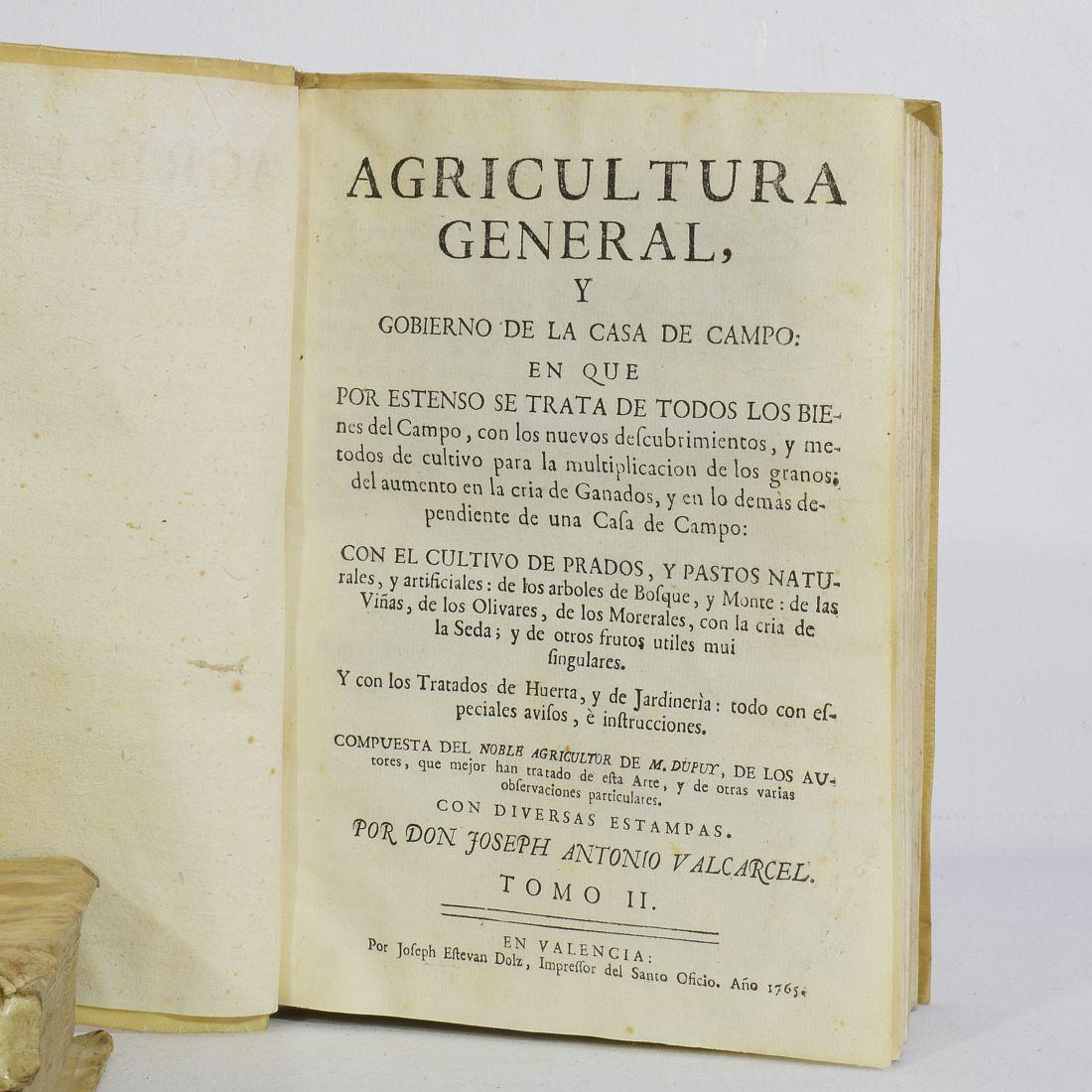Nice Collection of 18th Century Weathered Spanish Vellum Books 1