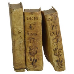 Nice Collection of 18th Century Weathered Spanish Vellum Books