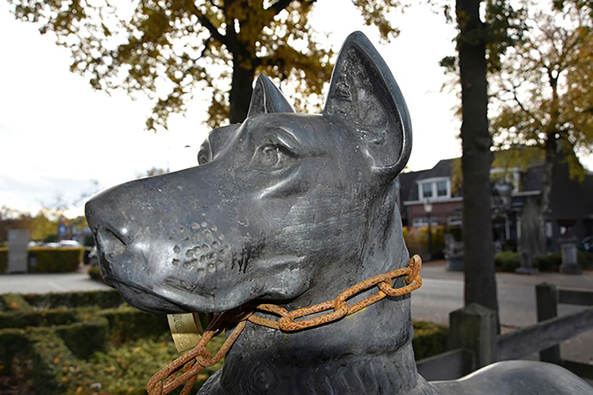 This nice beautiful dog is perfect to place in your garden.
He will protect your park.