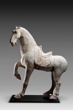 Nice Example of a Tang Dynasty Pottery Figure of a Prancing Horse