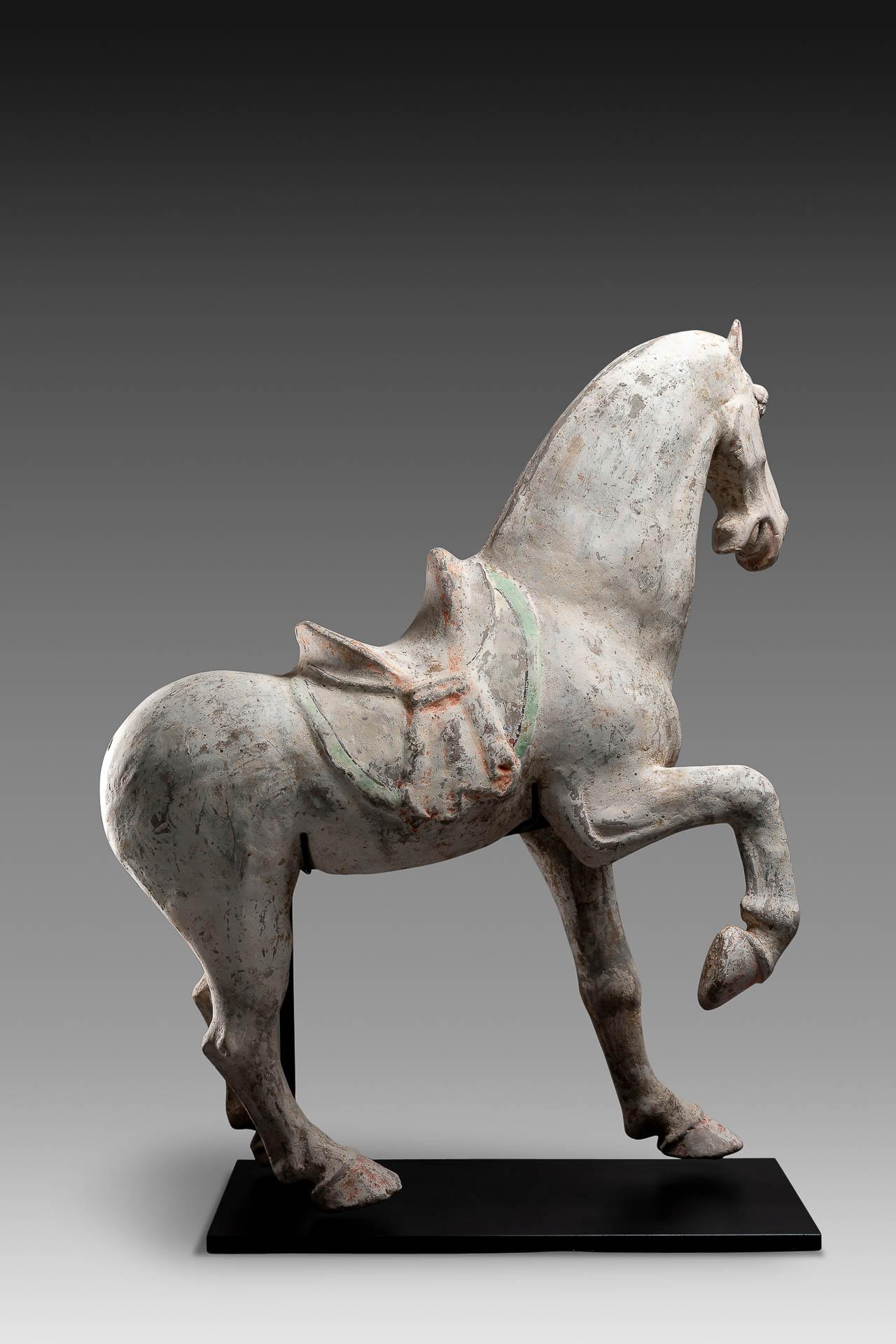 Asian Nice Example of a Tang Dynasty Pottery Figure of a Prancing Horse For Sale