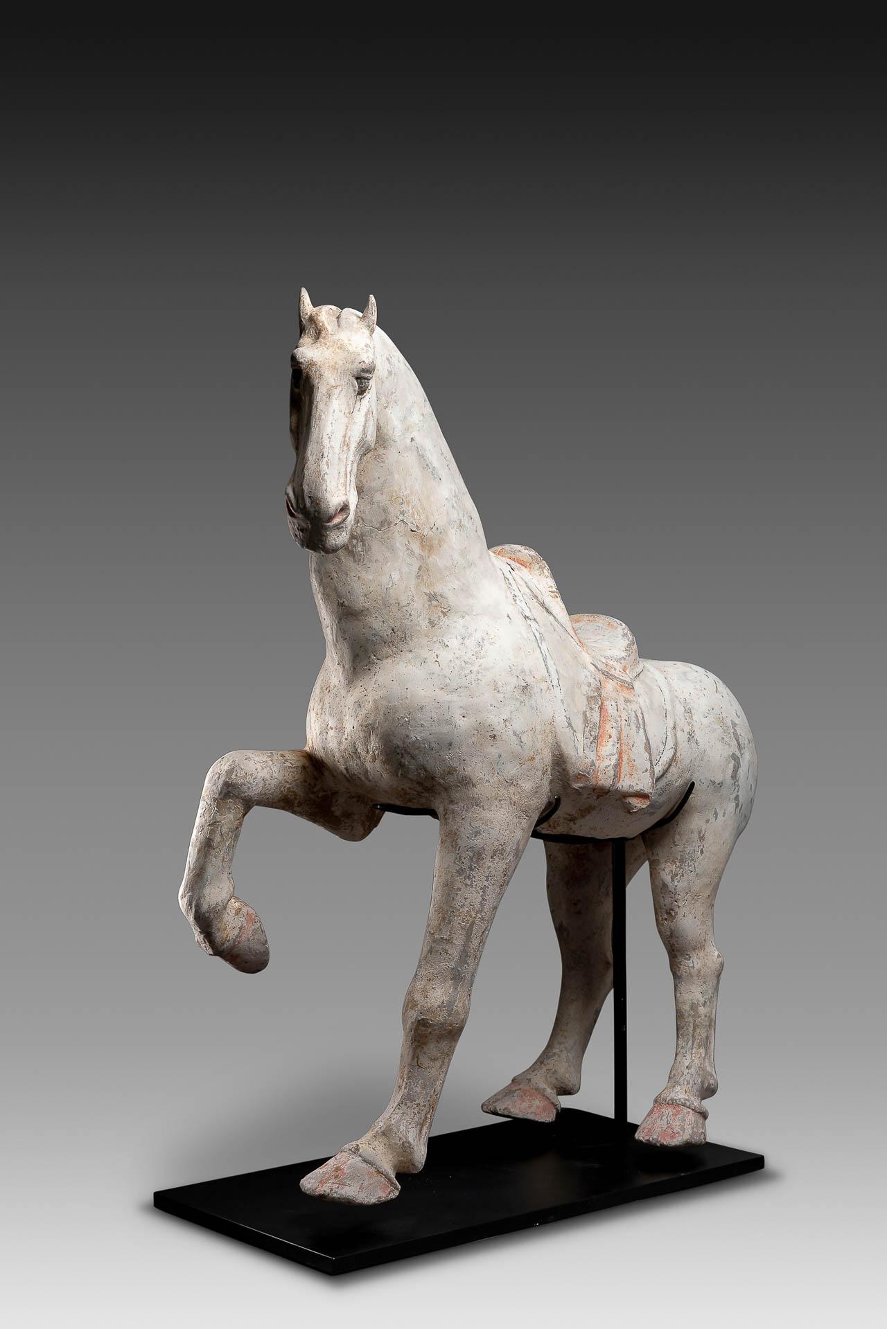 Nice Example of a Tang Dynasty Pottery Figure of a Prancing Horse In Good Condition For Sale In Paris, FR
