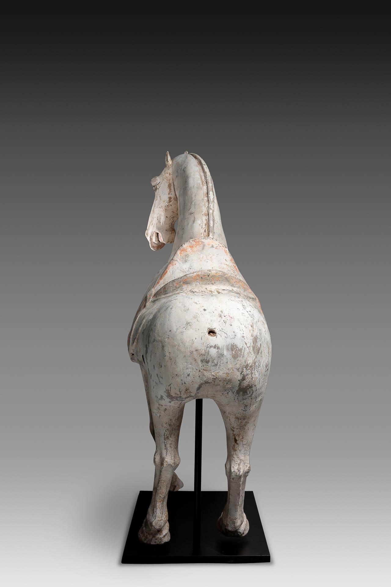 18th Century and Earlier Nice Example of a Tang Dynasty Pottery Figure of a Prancing Horse For Sale