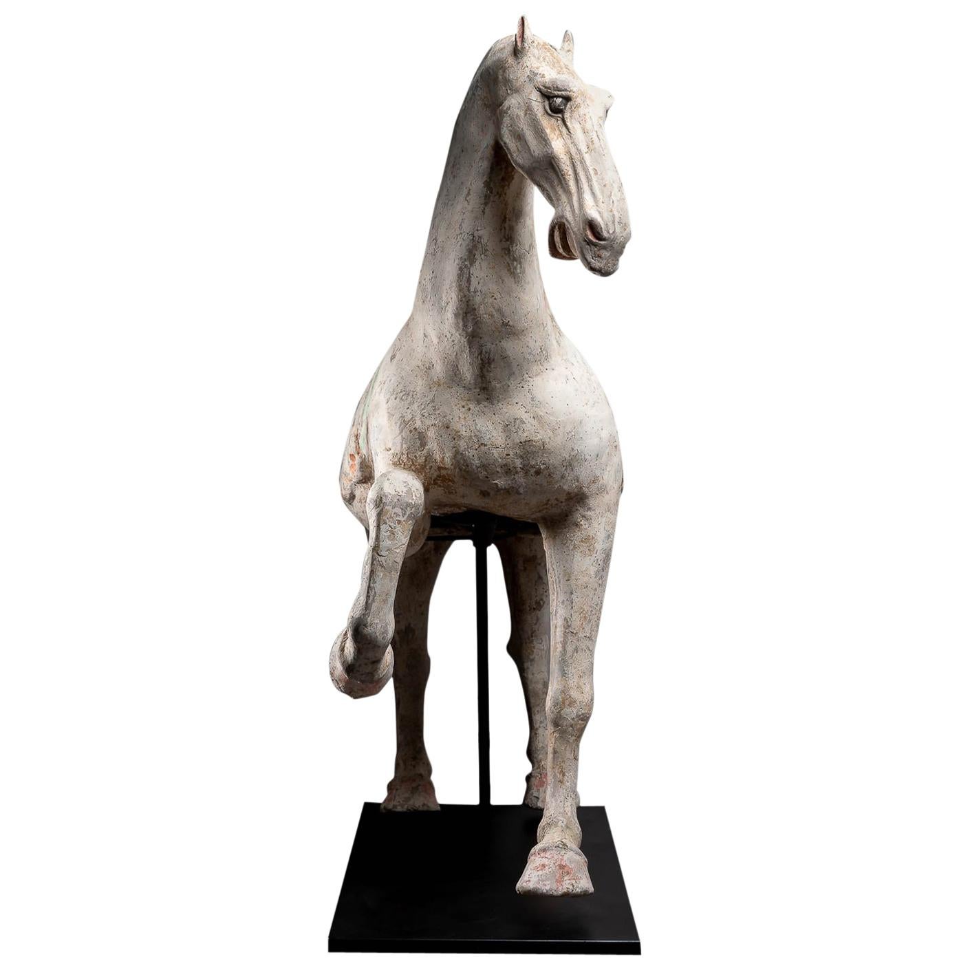 Nice Example of a Tang Dynasty Pottery Figure of a Prancing Horse For Sale