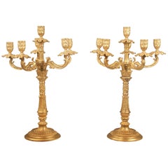 Bella coppia di candelabri a sei luci in bronzo dorato della fine del XIX secolo