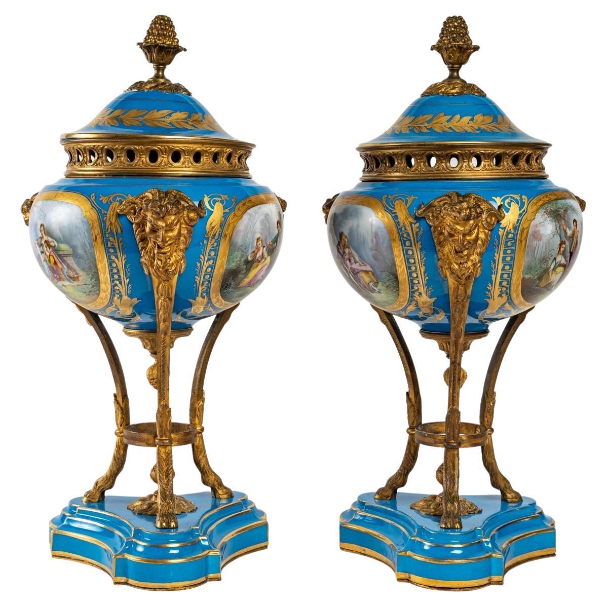 Pair of Small Vases in Sèvres Porcelain, 19th Century For Sale at 1stDibs