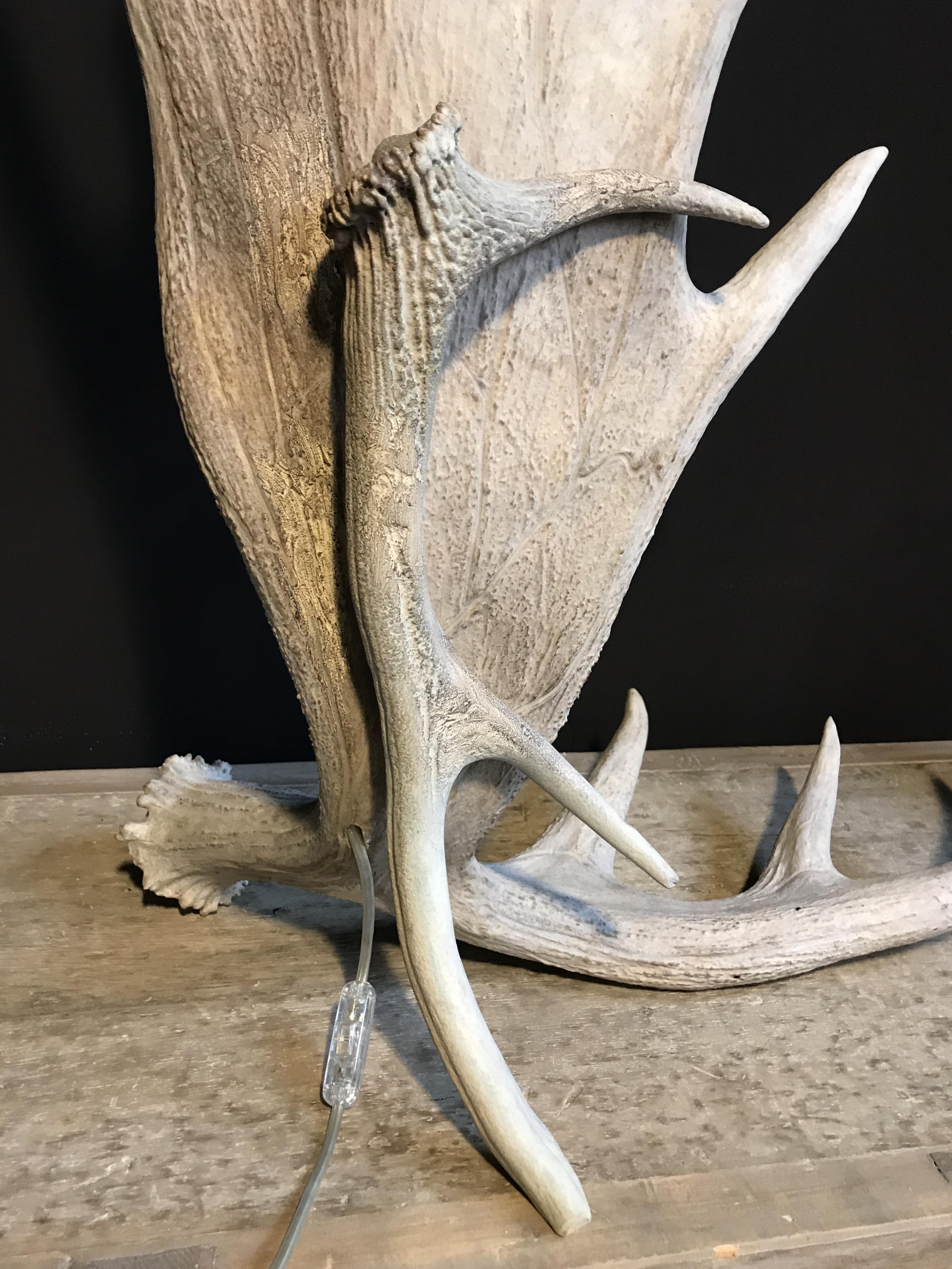 Contemporary Nice Pair of Table Lamps Made of Canadian Moose Antlers