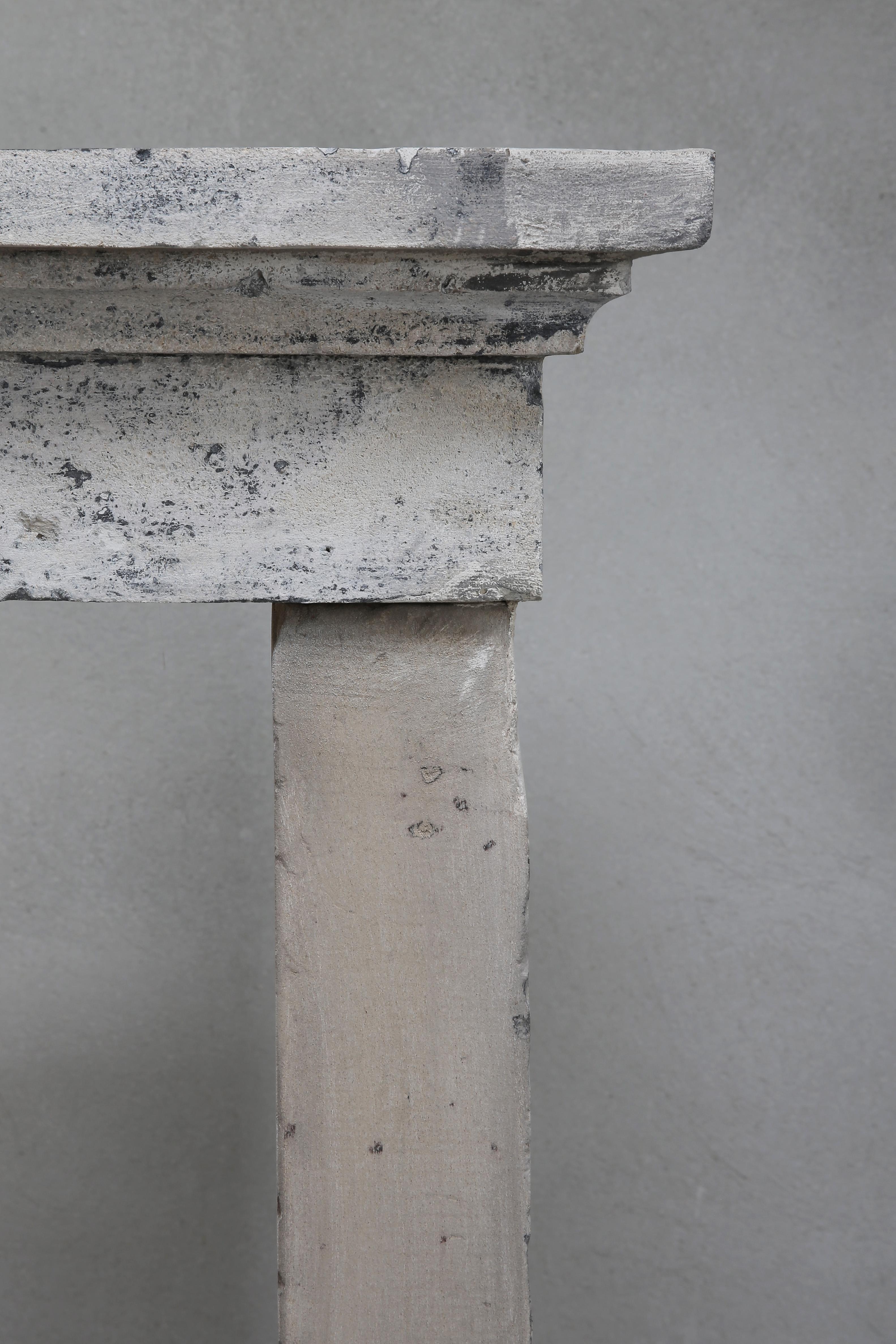 Bonita Chimenea de Piedra Caliza Patinada Antique French, Siglo XIX en venta 1