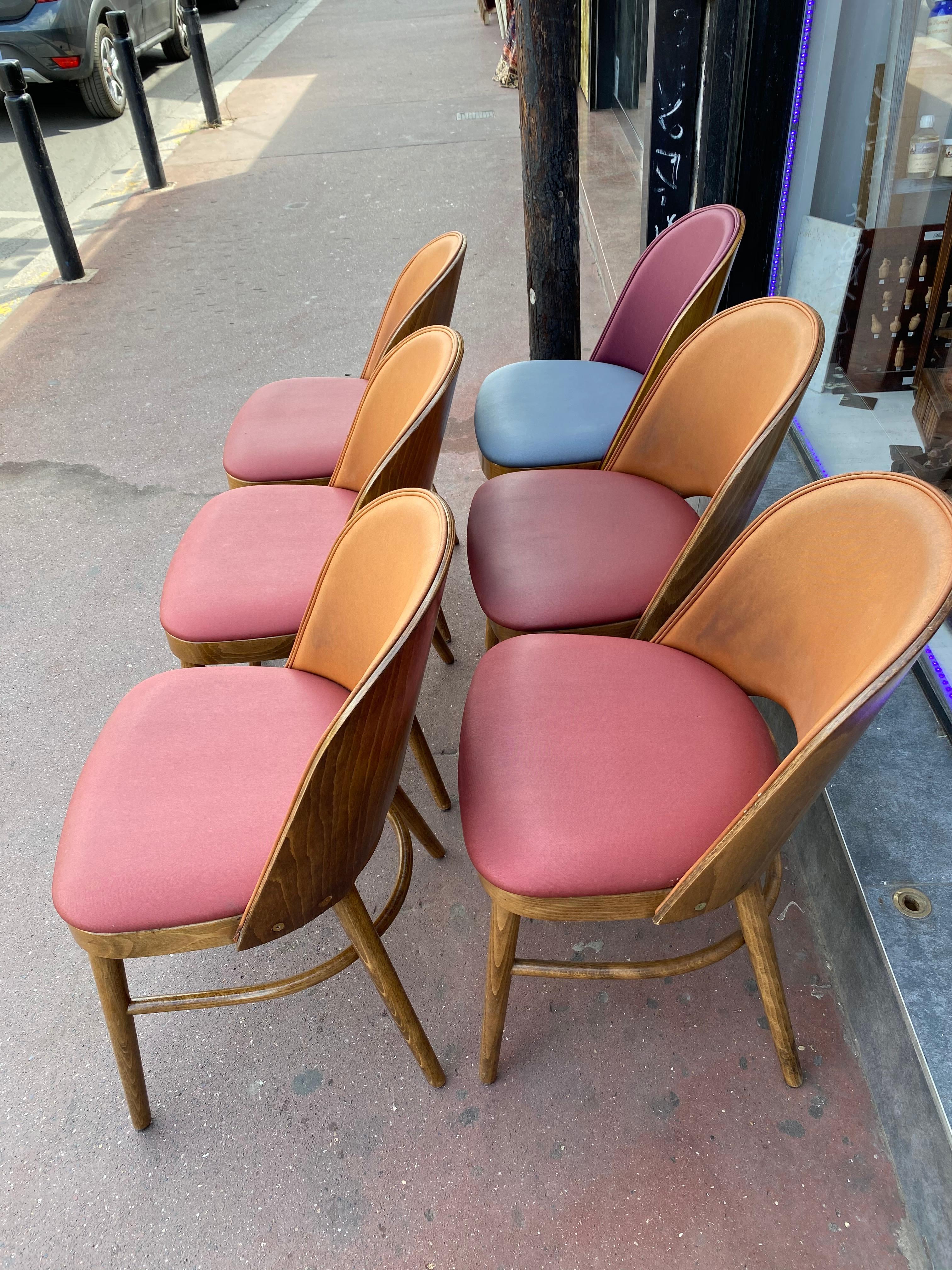 Nice Series of 6 Tonneau Chairs Beech and Moleskin Bicolor 5