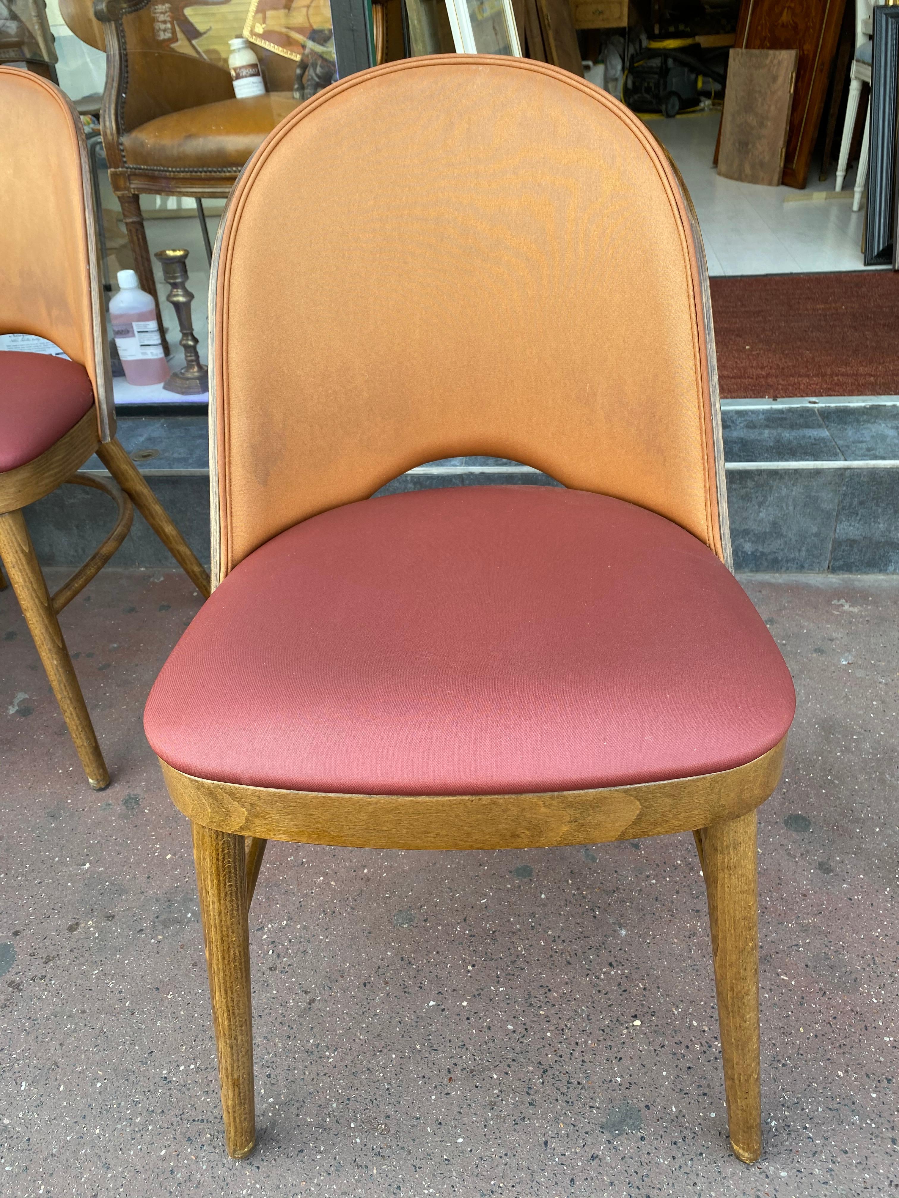 Mid-20th Century Nice Series of 6 Tonneau Chairs Beech and Moleskin Bicolor