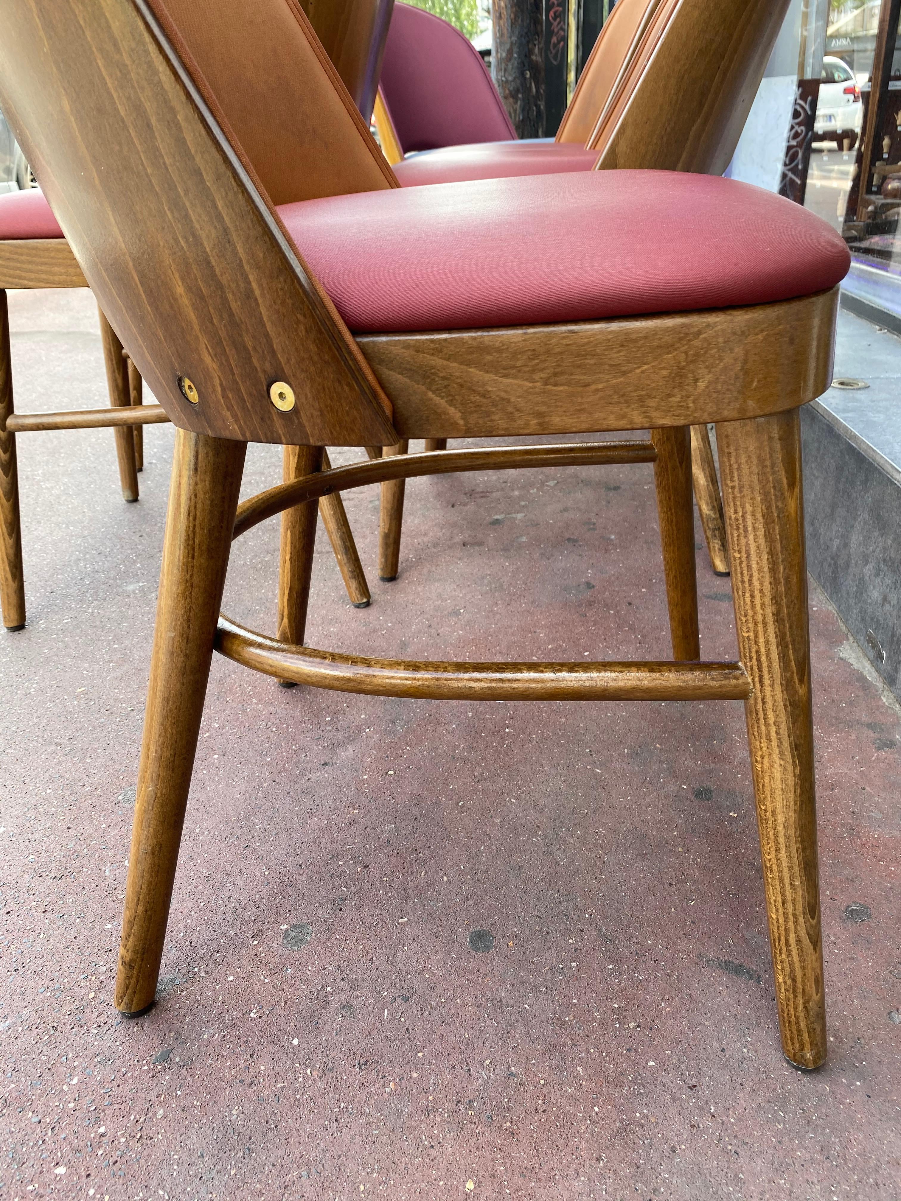 Wood Nice Series of 6 Tonneau Chairs Beech and Moleskin Bicolor