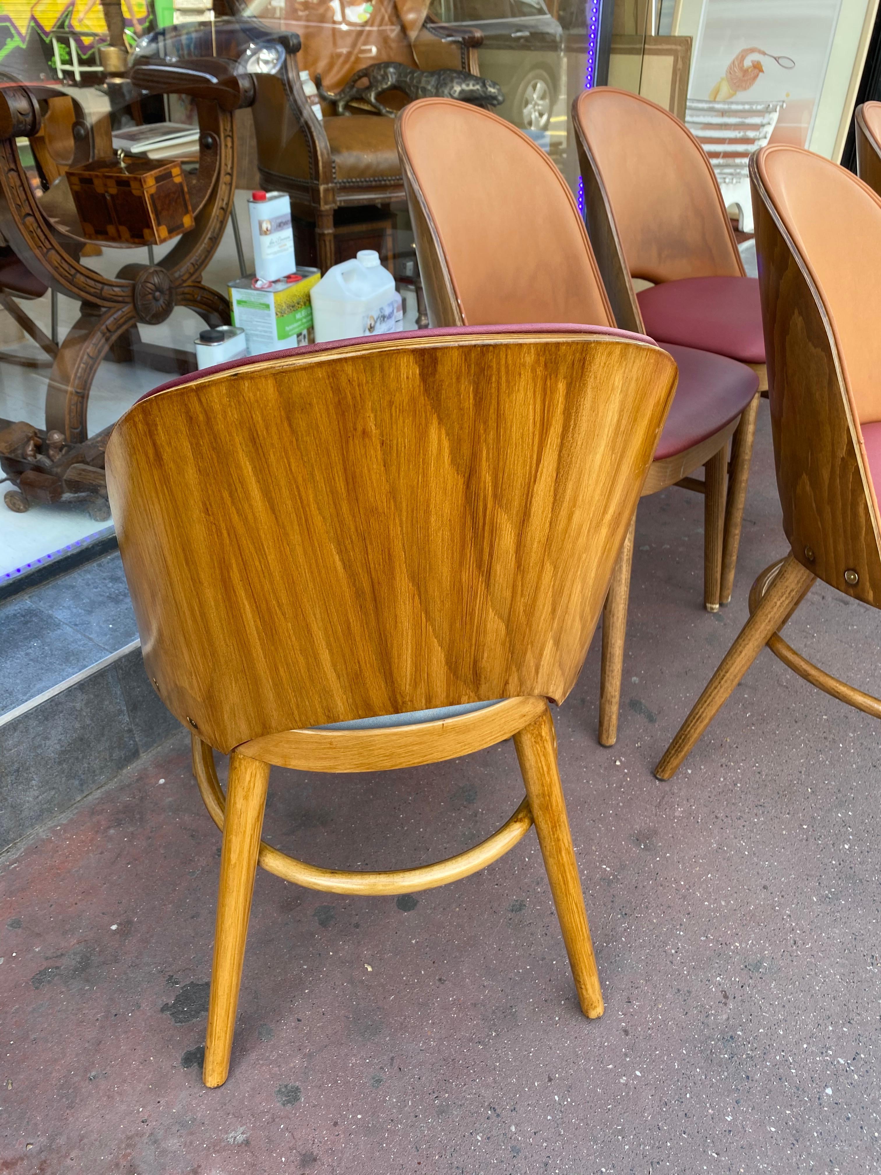 Nice Series of 6 Tonneau Chairs Beech and Moleskin Bicolor 1