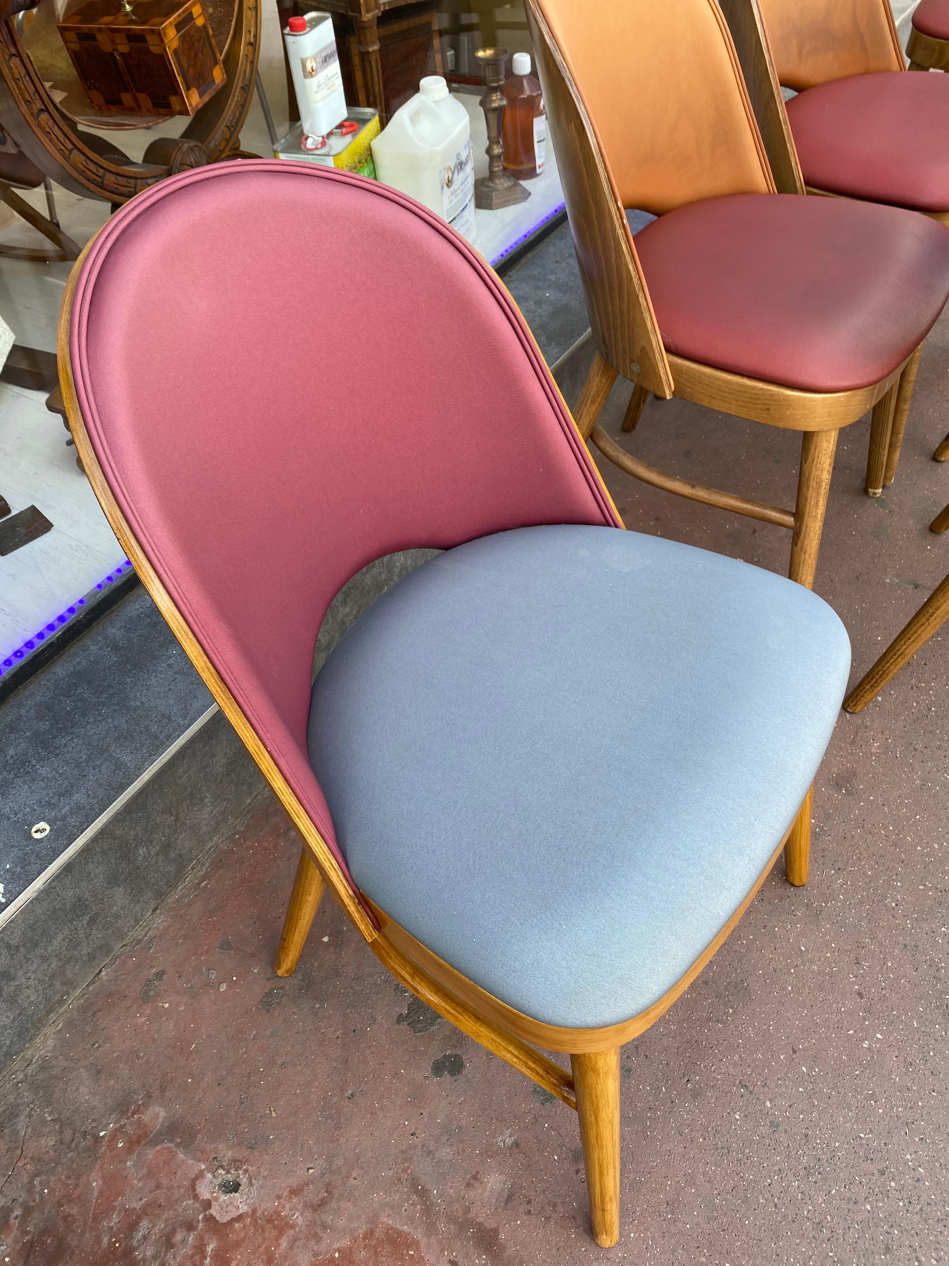 Nice Series of 6 Tonneau Chairs Beech and Moleskin Bicolor 2