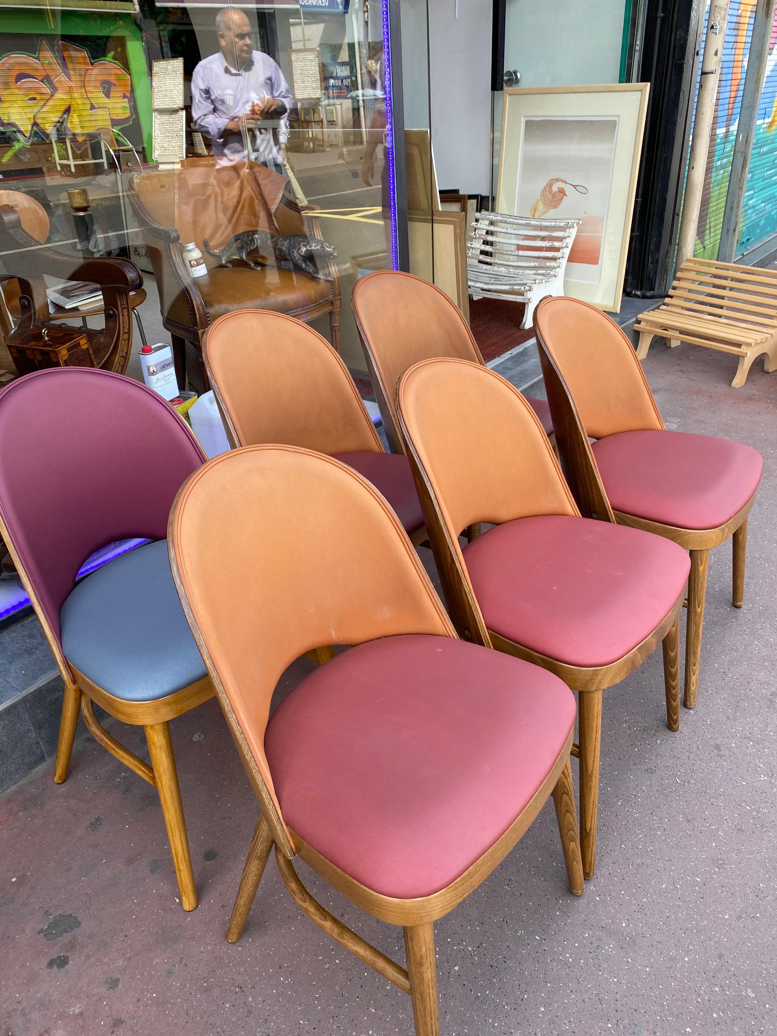 Nice Series of 6 Tonneau Chairs Beech and Moleskin Bicolor 3