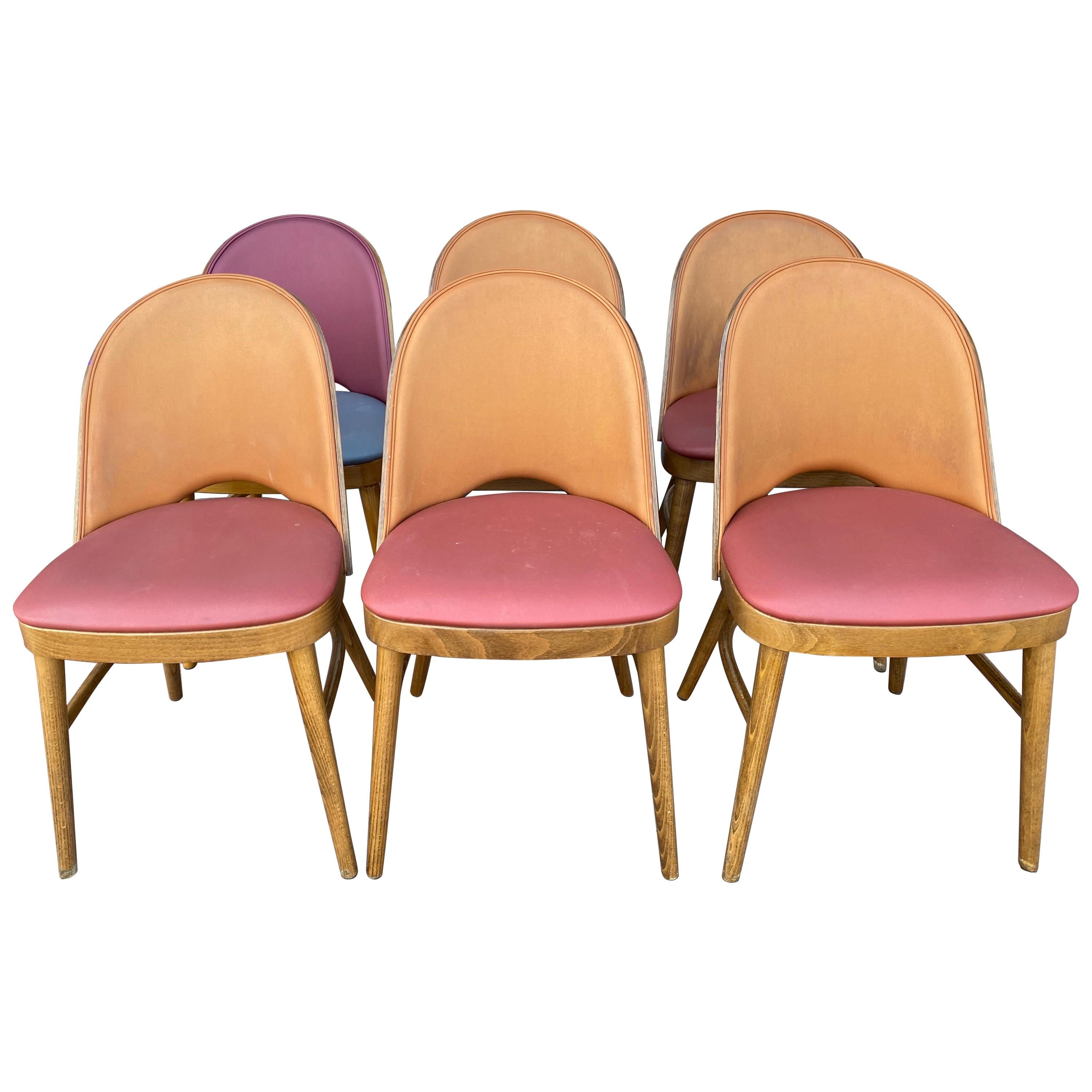 Nice Series of 6 Tonneau Chairs Beech and Moleskin Bicolor