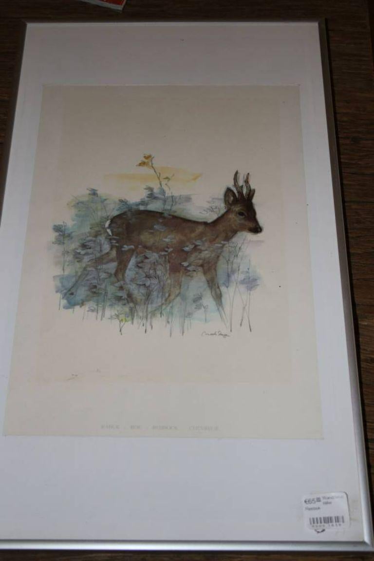 Nice Watercolour Painting with a Roebuck Grazing

Additional information: 
Dimensions: 30 W x 50 H cm 
Condition: In good condition