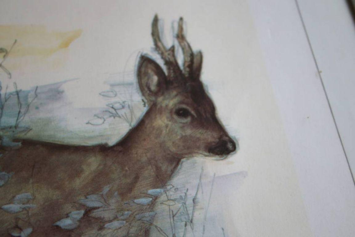 Mid-Century Modern Nice Watercolour Painting with a Roebuck Grazing For Sale