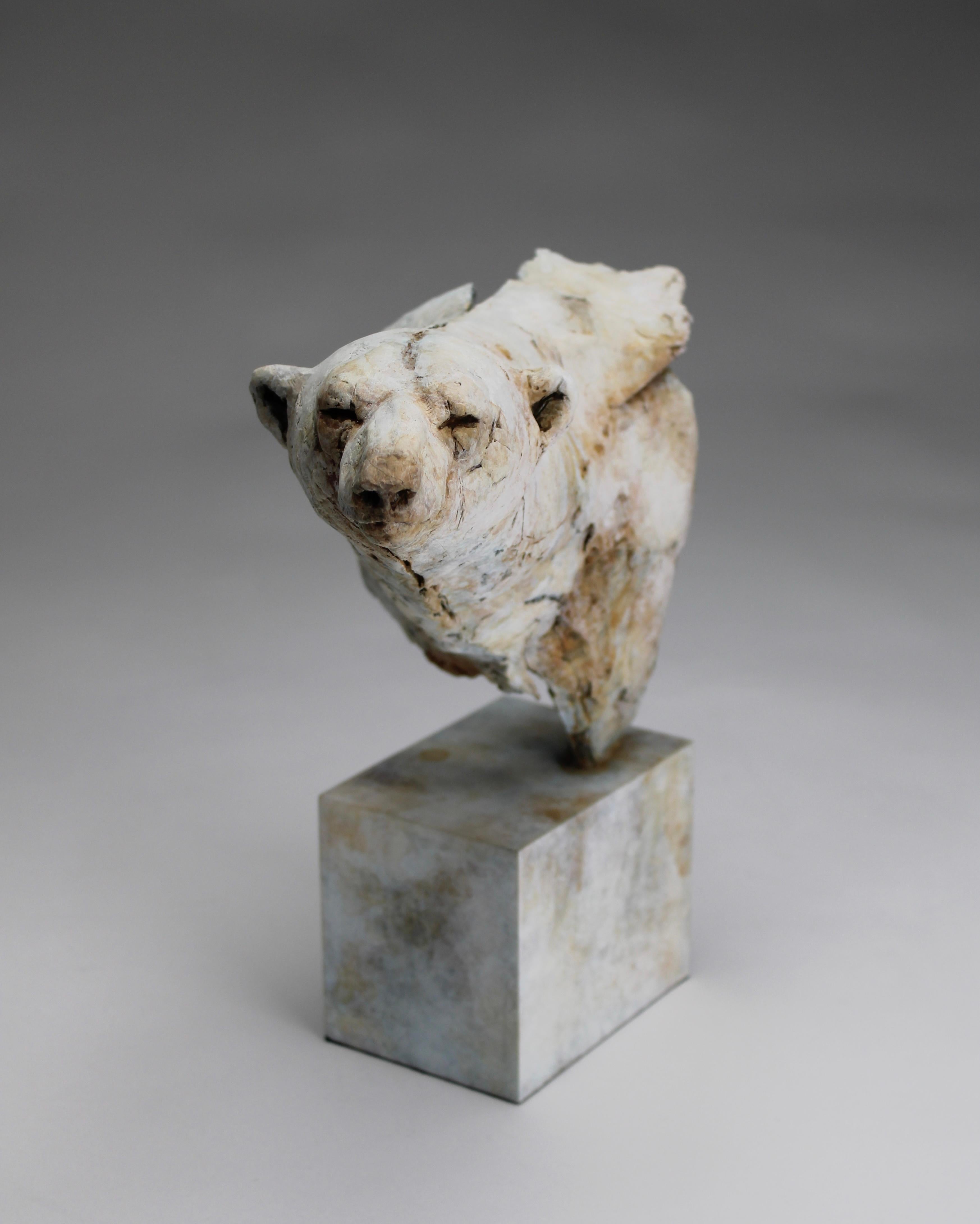 ''Orso artico'', scultura contemporanea in bronzo Ritratto di un orso artico - Sculpture Contemporaneo di Nichola Theakston