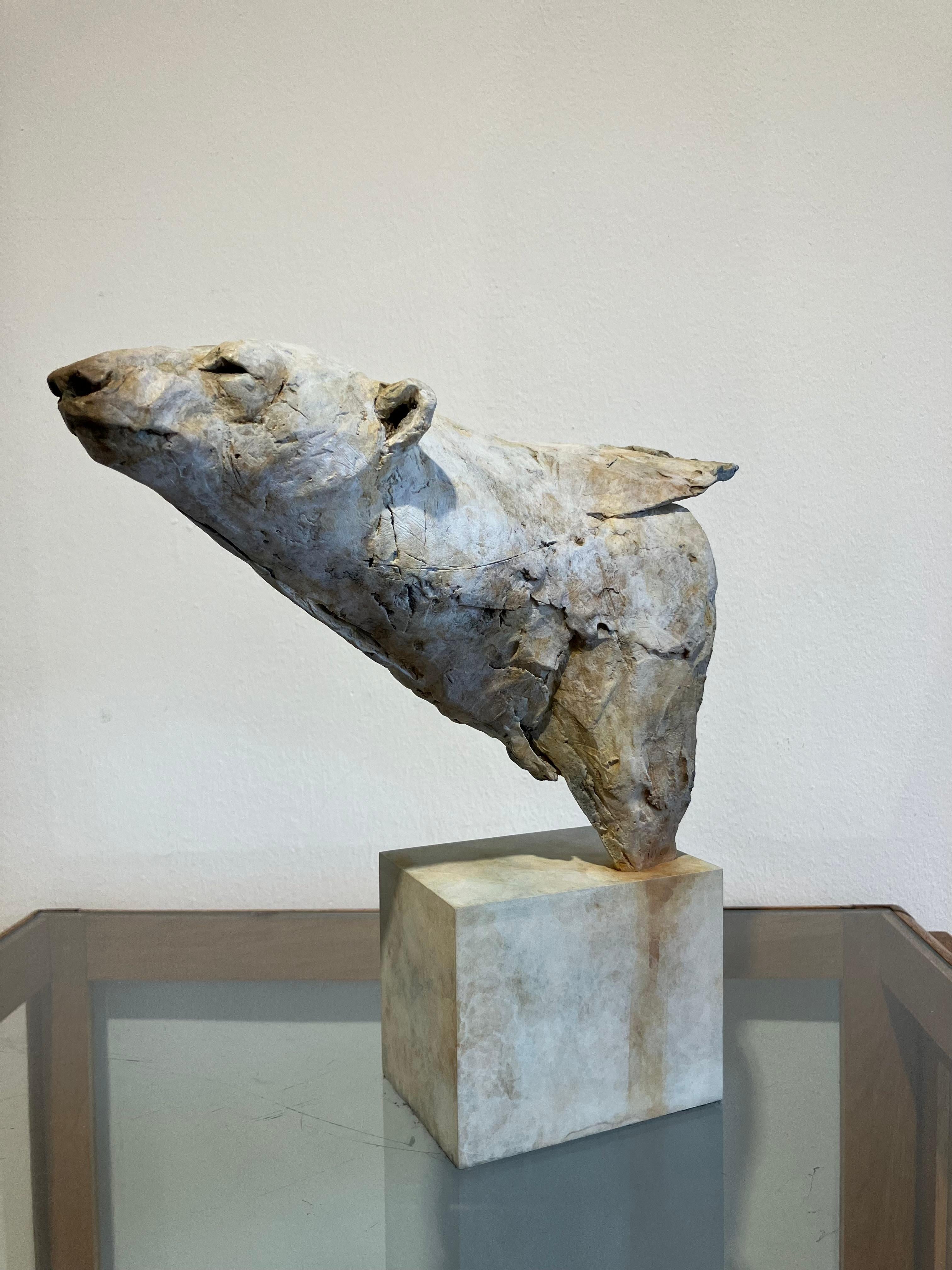''Arctic Bear'', Contemporary Bronze Sculpture Portrait of an Arctic Bear 1