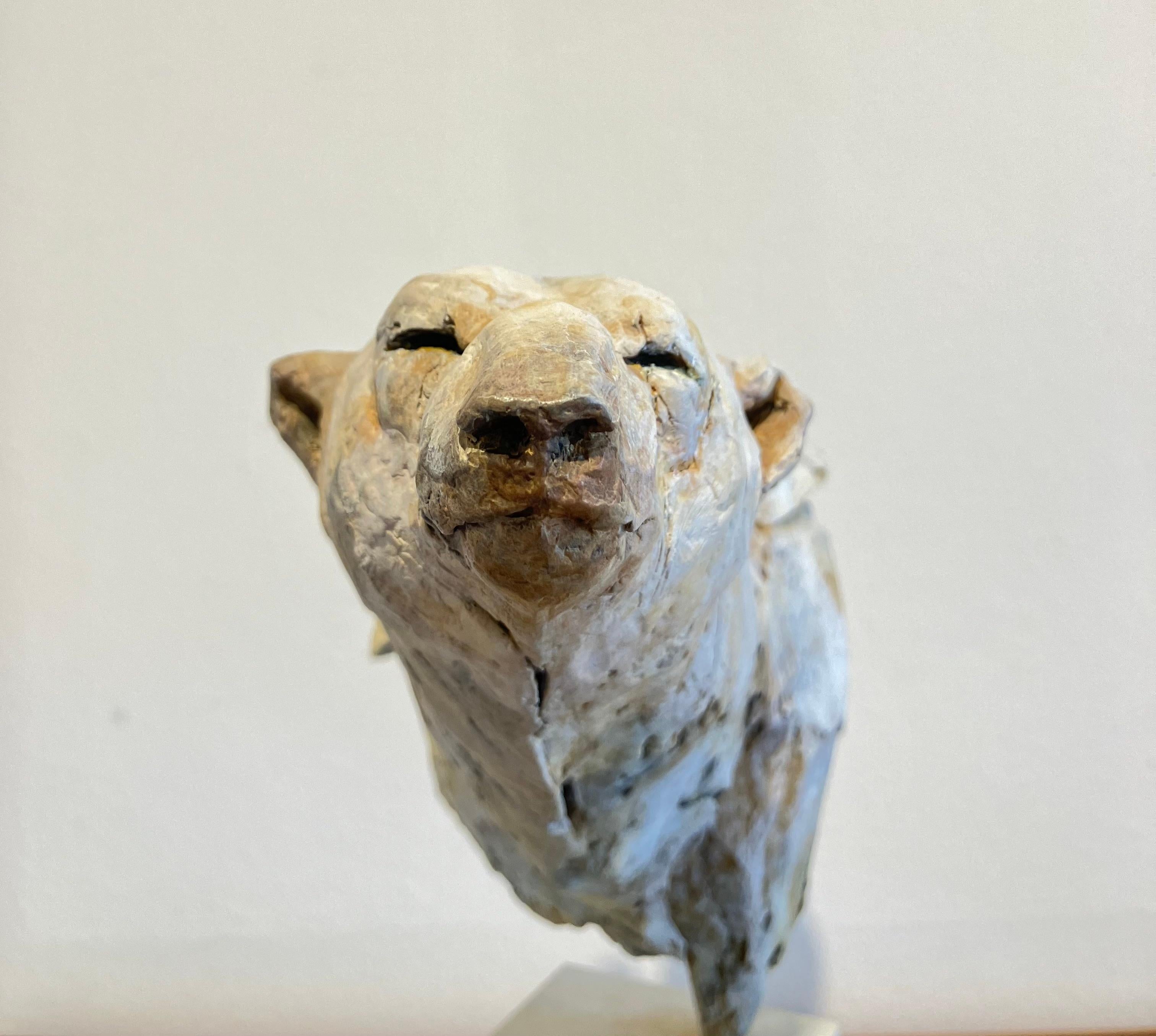''Orso artico'', scultura contemporanea in bronzo Ritratto di un orso artico in vendita 1